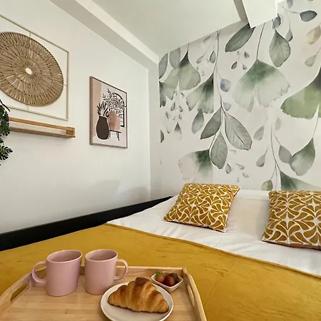 Appartement N Le Ginkgo En Rdc Au Centre *
